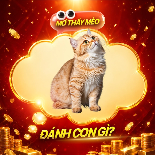 Mơ thấy mèo đánh con gì?